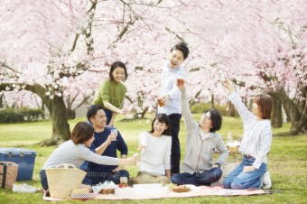 Tận hưởng lễ hội hoa anh đào Hanami Nhật Bản