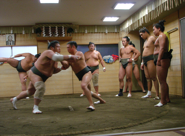 Một ngày luyện tập của các võ sĩ Sumo