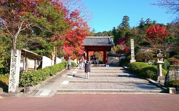Momiji chuyển dần sang màu đỏ bao phủ chùa Kanshin