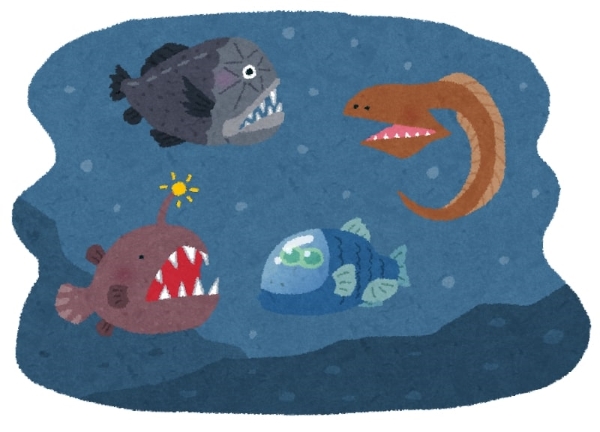 Có rất nhiều sinh vật hiếm ở dưới sâu lòng đại dương
