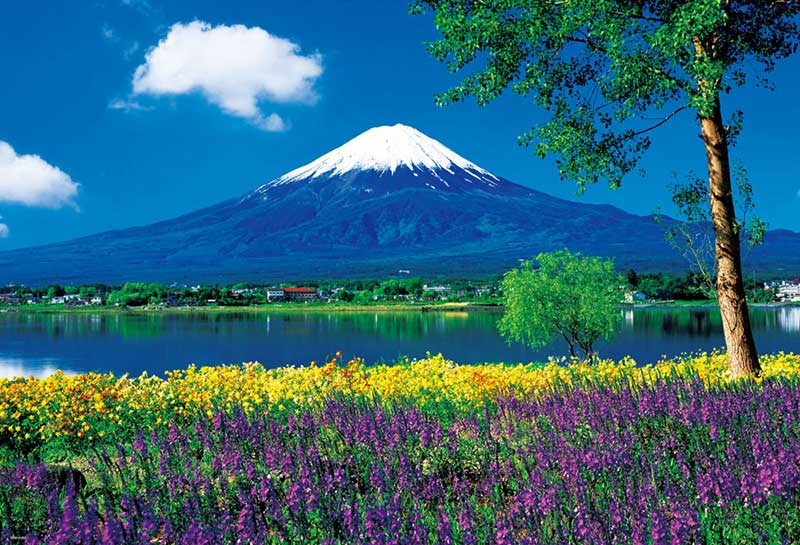 TOP 35 Tranh Núi Phú Sỹ Nhật Bản Bán Chạy Nhất