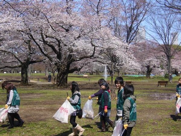Ý thức dọn dẹp khu vực sau khi ngắm hoa anh đào của người Nhật